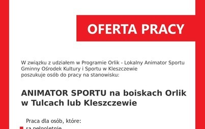 Zdjęcie do Ogłoszenie o pracę - animator sportu